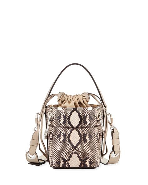 chloe roy mini bucket python|Mini Roy Bucket Bag In Python Print Calfskin .